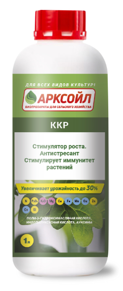 Арксойл - Старт